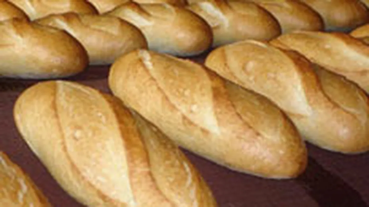 Titan Ilfov a realizat un profit de 8,04 mil.lei in S1