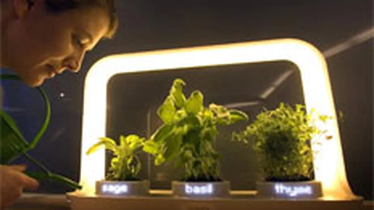 Philips urmareste dublarea profitului pana in 2010, ca urmare a reorganizarii grupului