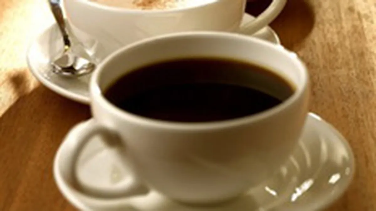 Elite Romania estimeaza pentru 2007 afaceri de pana la 80 milioane euro