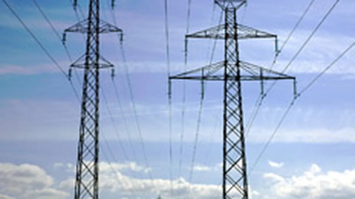 Buzmann si Romelectro vor sa cumpere cate 3,7 mil. MWh de pe OPCOM