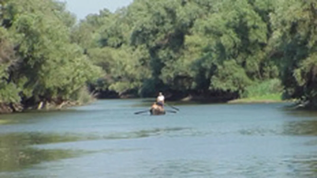 Delta are nevoie pentru reconstructie de 36 mil. euro pana in 2013