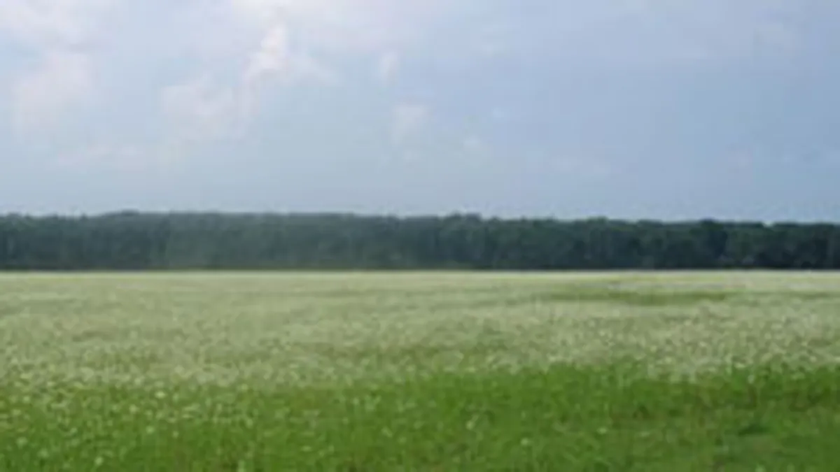 Ungurii de la Ablon au cumparat un teren in Pipera cu 18,5 mil. euro