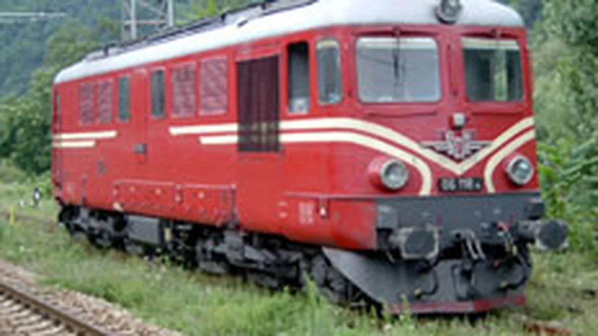 Al-Arrab a realizat o infuzie de capital de 35 mil. euro la Electroputere