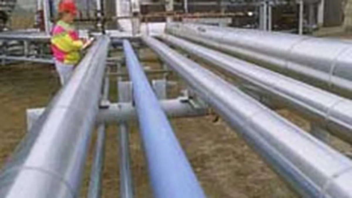 Cel mai entuziast investitor a plasat 70.000 euro in actiuni Transgaz