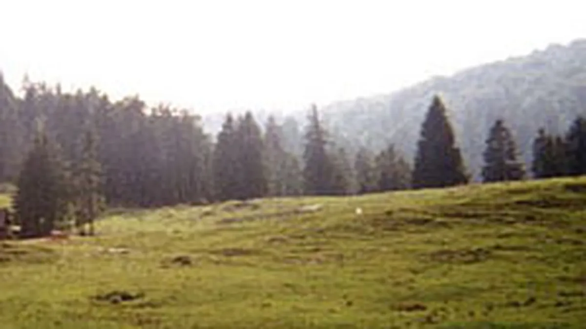 Statiune eco-turistica in Muntii Apuseni cu buget de 50 mil. euro