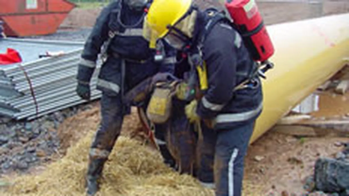 Investitorii mari au subscris cu 26% mai multe actiuni Transgaz pana miercuri