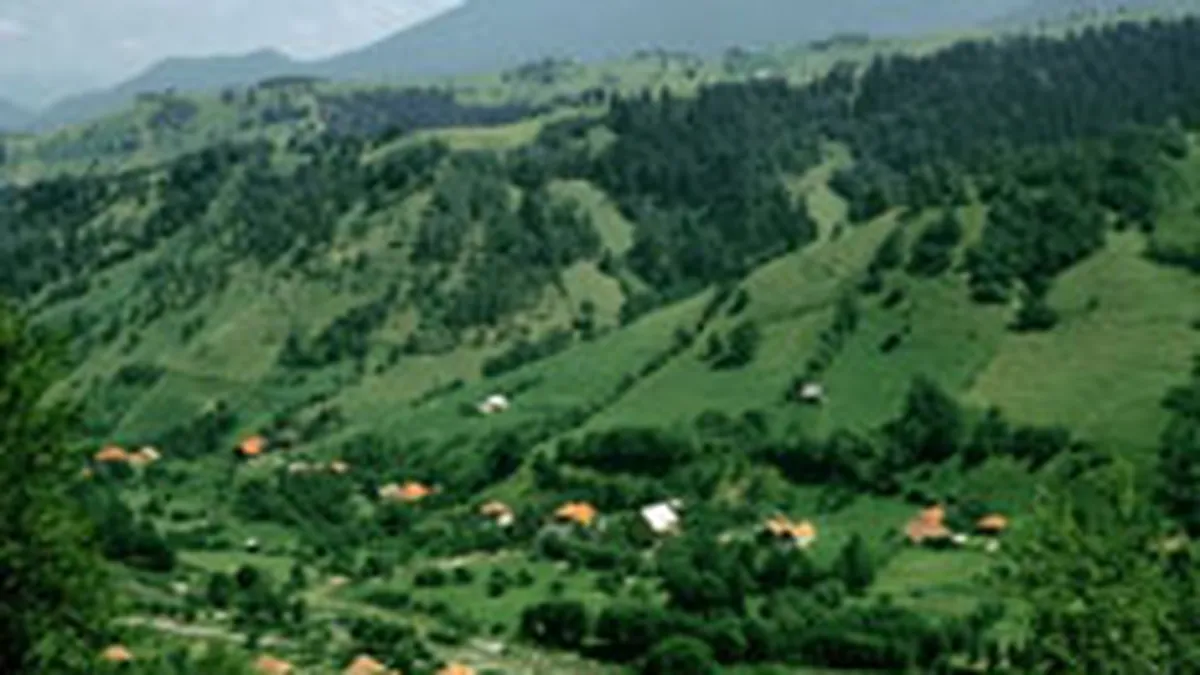 Tichetele de turism ar putea creste industria cu 5-8% in primul an