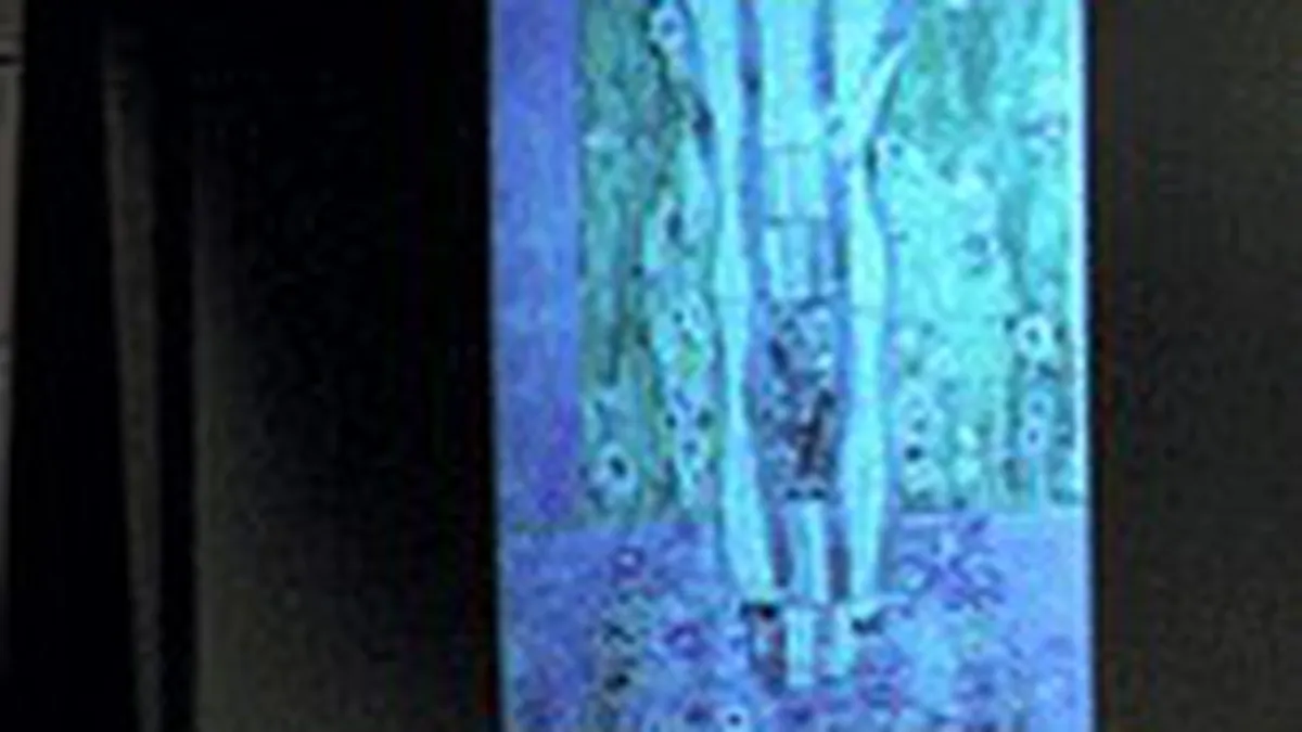 Christie\'s International va scoate la licitatie picturi de 24 mil. dolari