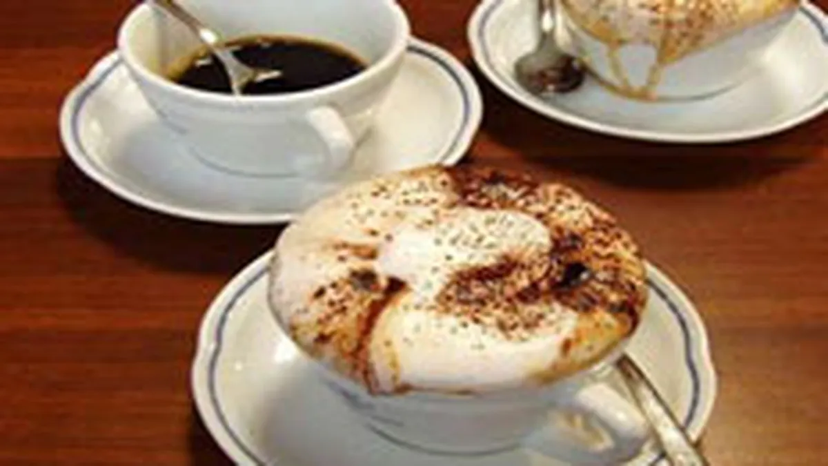 Venituri de 1 milion de euro pentru Cafepedia, in 2008