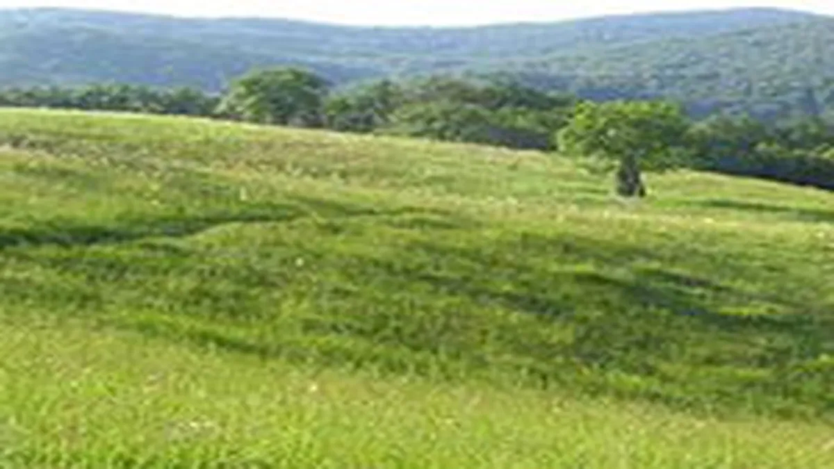 Antreprenorul francez Vinci este interesat sa investeasca in zona Padis