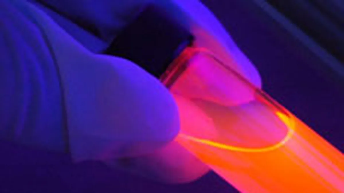 Inchiderea Arpechim a contribuit la pierderile Oltchim de 23 mil. euro in 2007