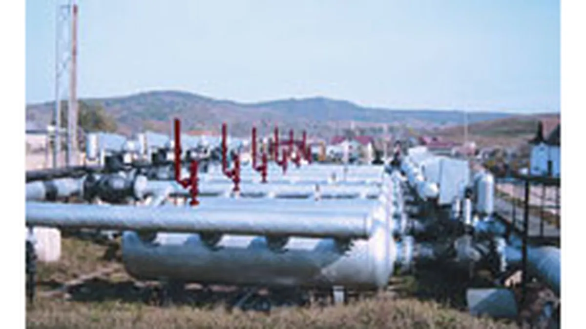 Patriciu: Privatizarea licentelor Romgaz ar aduce Romaniei 6 mld.$