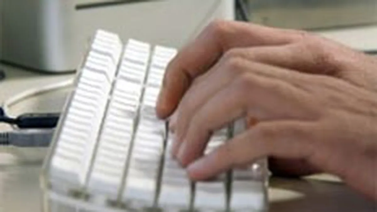 Salariile din IT vor creste cu maxim 20% in 2008