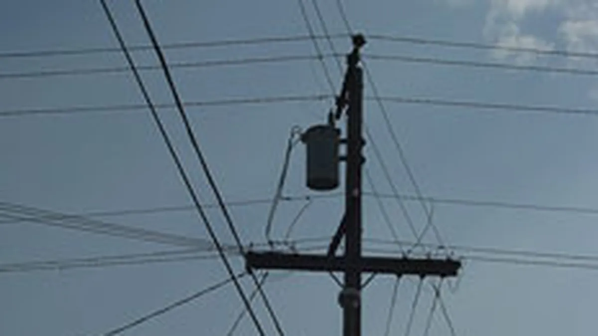 Transelectrica vizeaza o crestere cu 18% a profitului brut in 2008