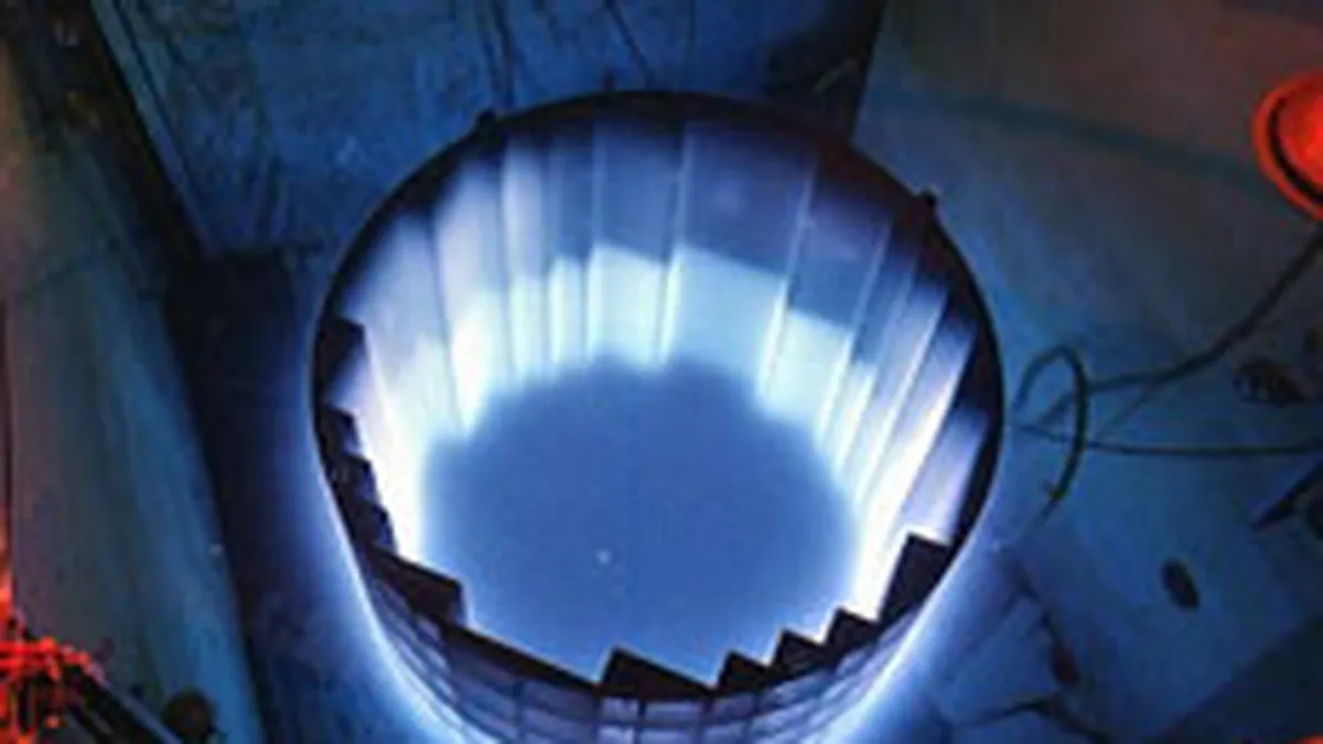 Compania care va construi reactoarele 3 si 4 ar putea fi inregistrata in mai