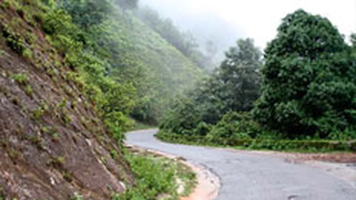 4,2 mil. euro pentru reabilitarea parcului balnear din Satu Mare si Bihor