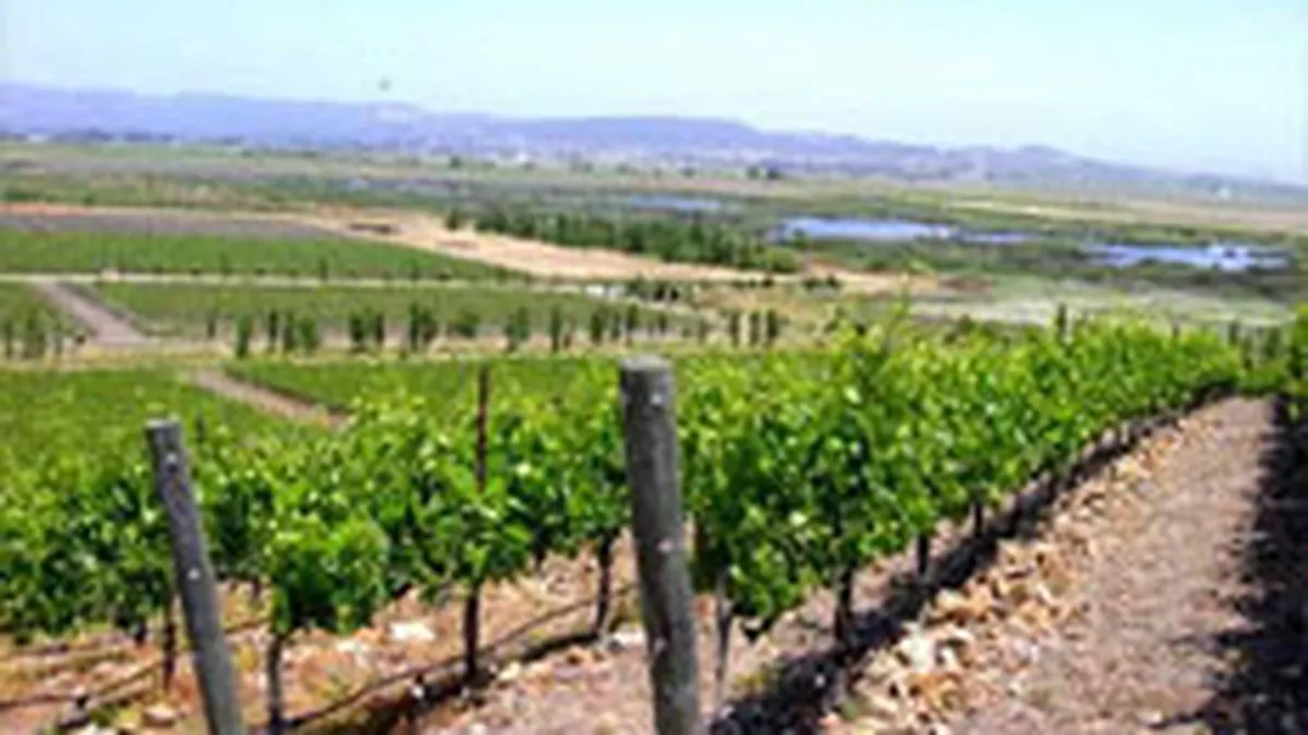 Mini-vacantele in podgoriile din Romania, mai atractive in 2008