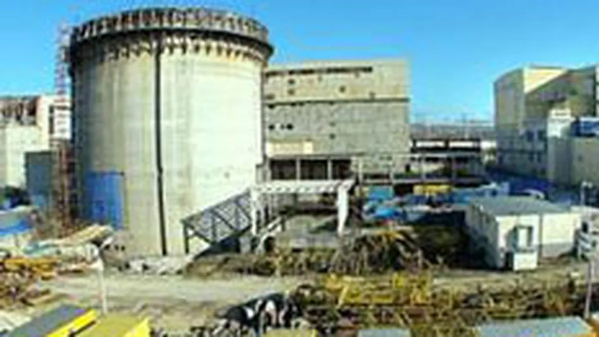 Nuclearelectrica vrea sa produca 18% din energia electrica a Romaniei in 2008