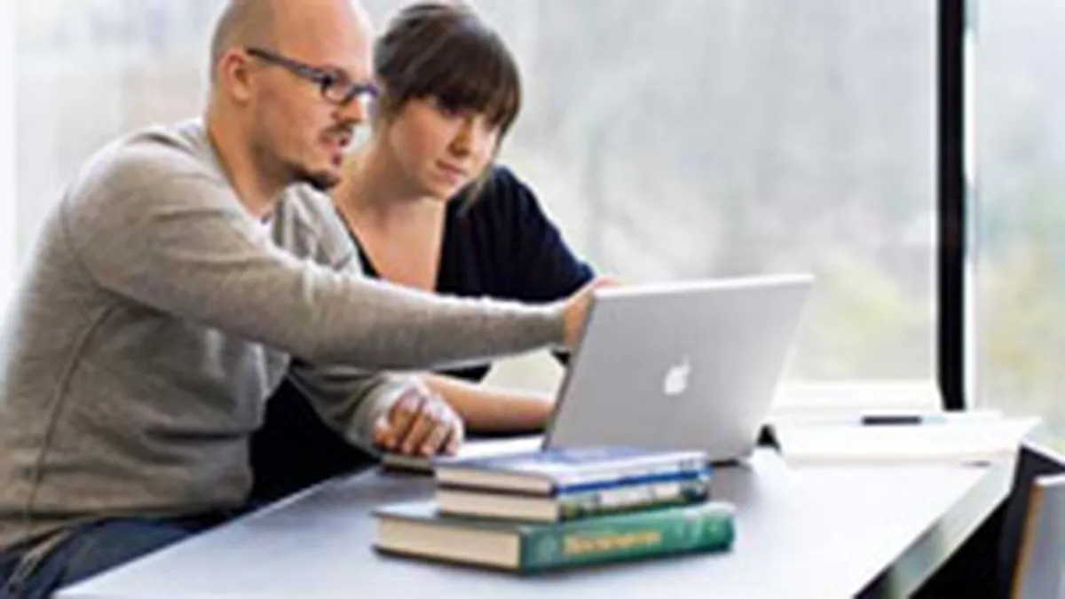 INS: Intelectualii s-au numarat printre cei mai cautati angajati in 2007