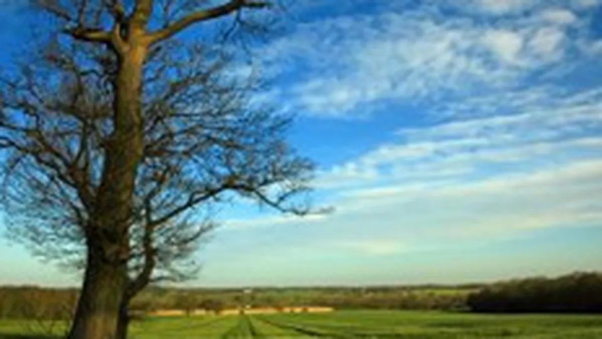 Agricover Credit IFN si-a propus sa acorde credite agricole de 30 mil. euro in 2009