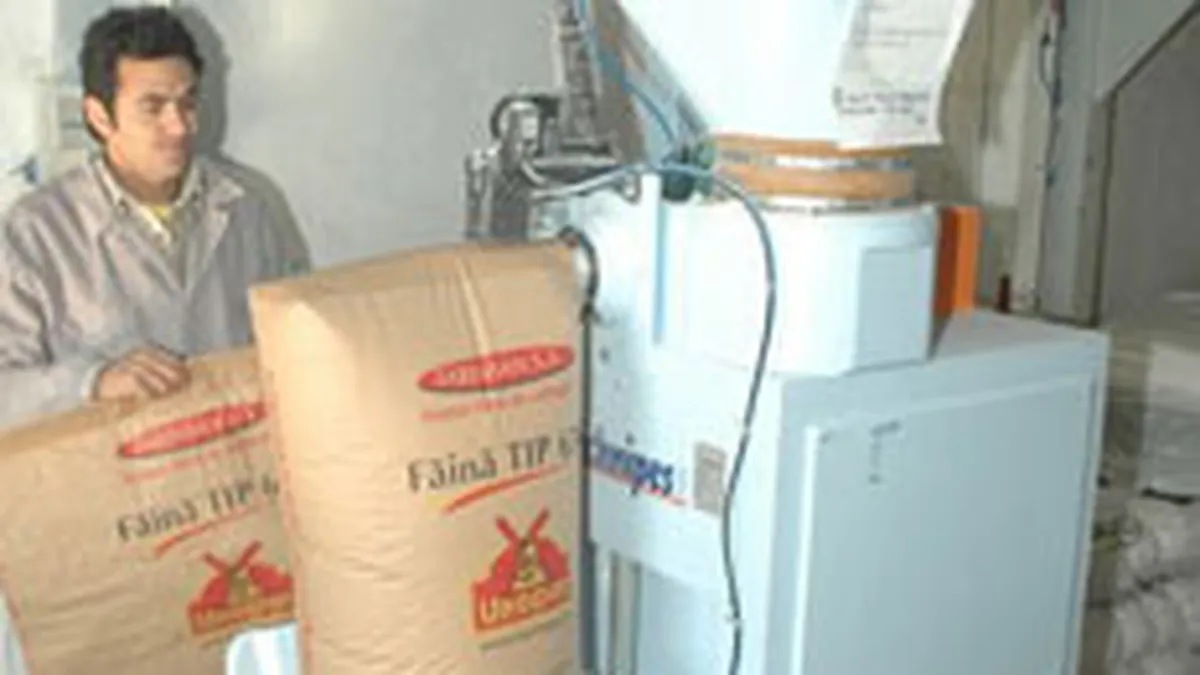 Farinsan Gradistea estimeaza afaceri in crestere cu 28% pe 2008