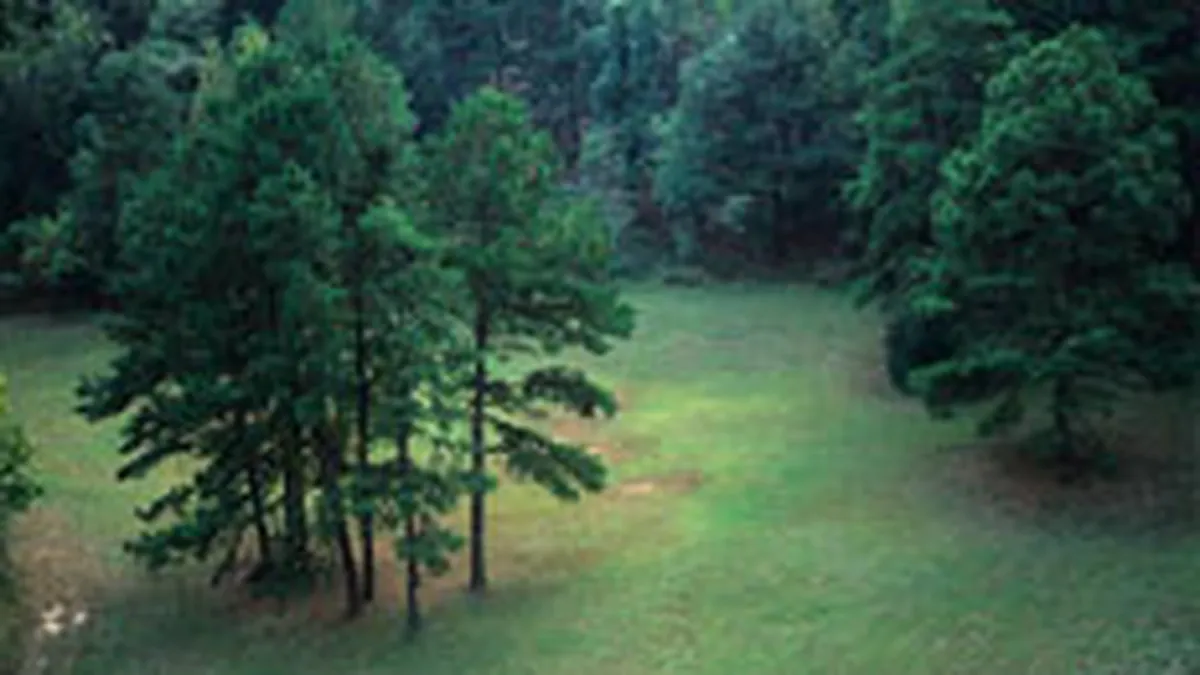 O asociatie ecologista si-a propus sa atraga 1 mil. euro de la companiile romanesti