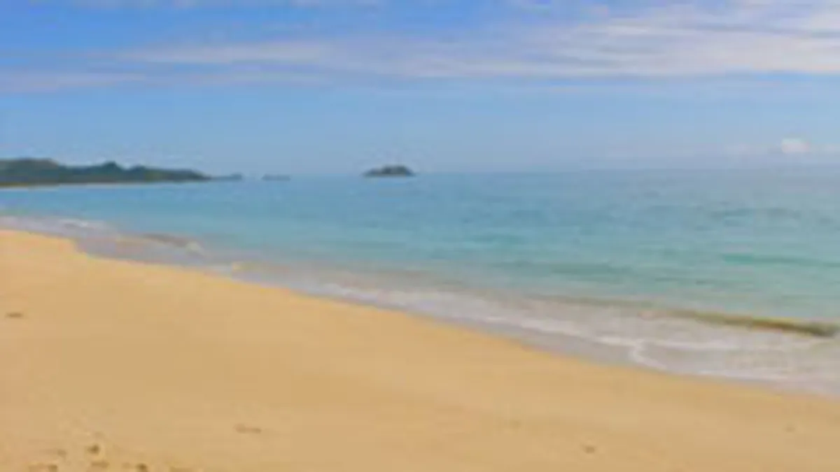 Toate sectoarele de plaja scoase la licitatie au fost inchiriate