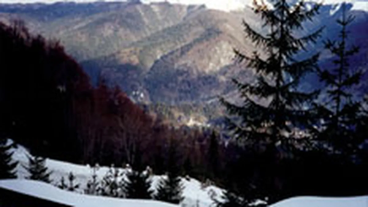 Piata turismului intern de Paste a crescut cu 10% in 2008, la 11 mil. euro