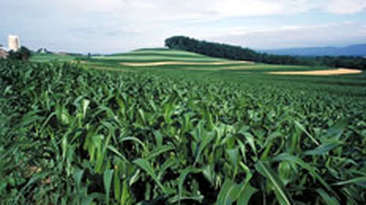 Euro Trading Chemicals si-a lichidat participatia la Amonil pentru 7 mil. euro