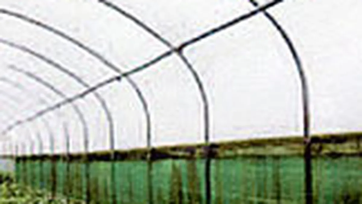 Amonil si Azomures revin in topul lichiditatii BVB, cu preturi in scadere