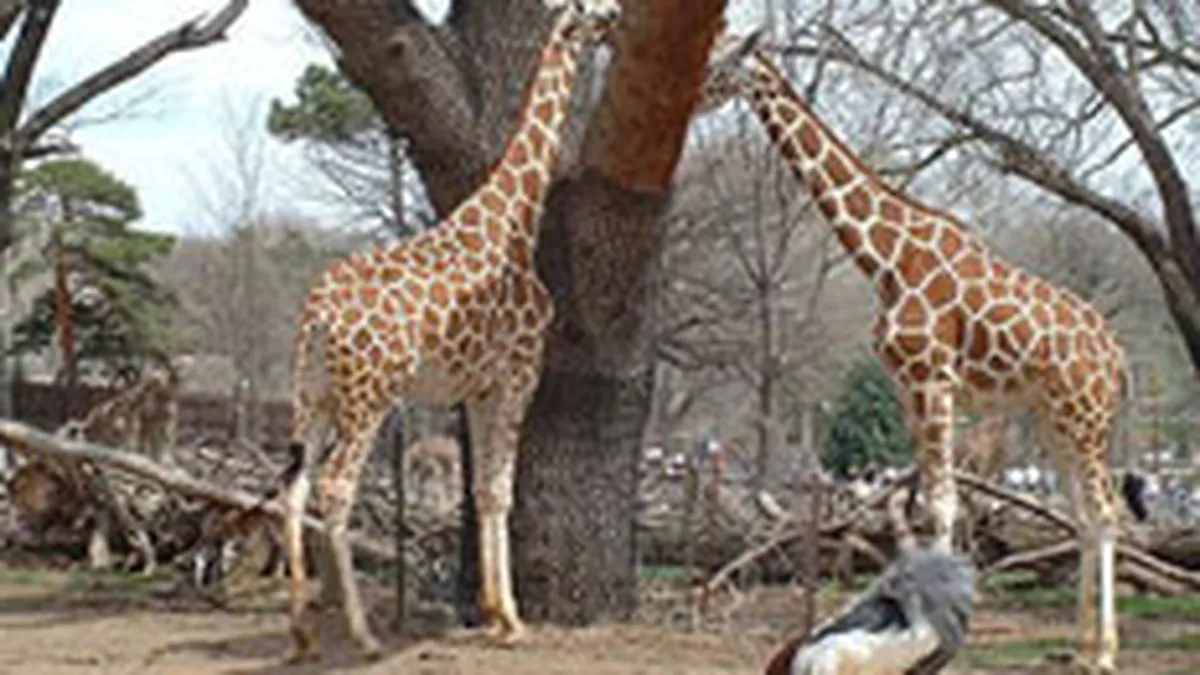 O ordonanta de urgenta protejeaza mediul de speculatiile imobiliare