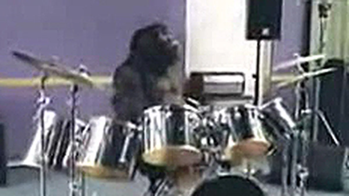 \Gorilla\ si \Xbox Halo 3\ au castigat impreuna Film Grand Prix la Cannes