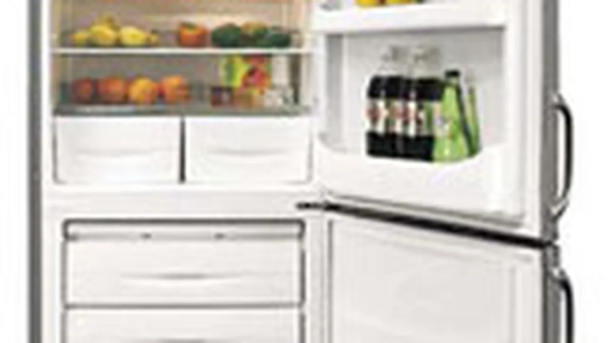 Flamingo: Piata aparatelor frigorifice se va cifra la 144 mil. euro in 2008