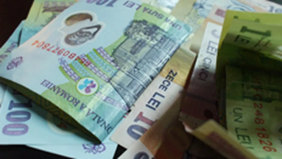 Guvernul ingheata salariul minim la 500 de lei pana la sfarsitul anului