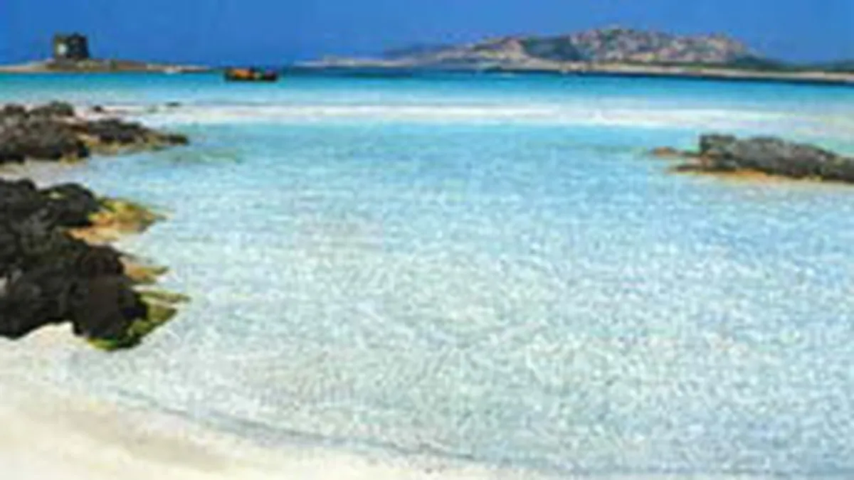 Prestige Tours estimeaza o crestere de circa 20% anul acesta