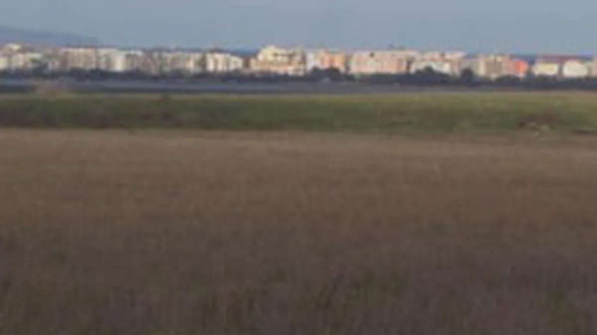 Impact va prelua un teren de peste 3.000 mp de la o firma datornica