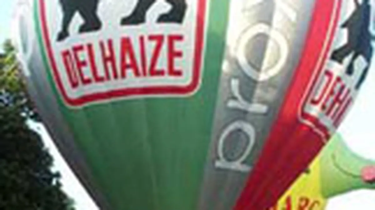 Lantul de supermarketuri Delhaize si-a redus estimarile de profit pentru 2008