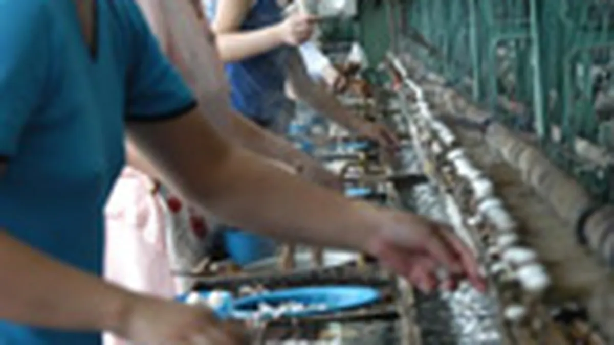 Rata de ocupare a fortei de munca din Romania, printre cele mai scazute din UE