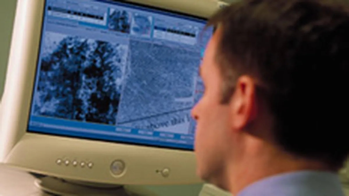 Green Pixel a atras Evz.ro in portofoliu si mizeaza pe crestere de 50% in 2008