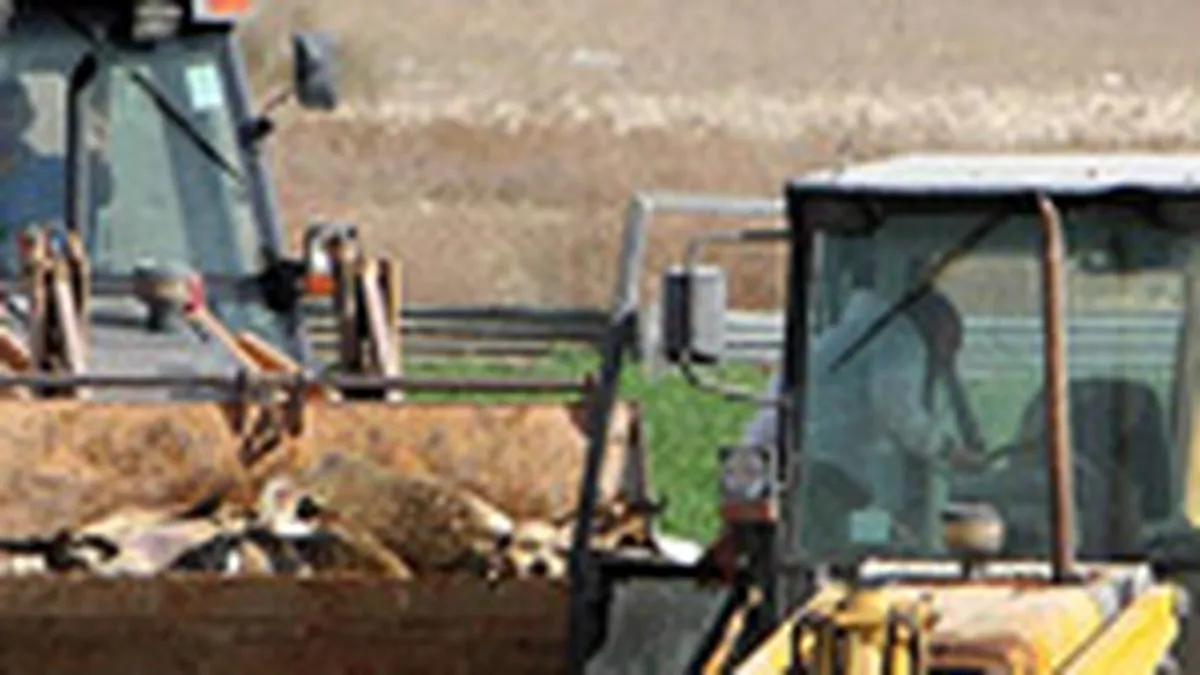 Concurenta a autorizat G+H Montage Stizo sa preia 8 firme ale Stizo