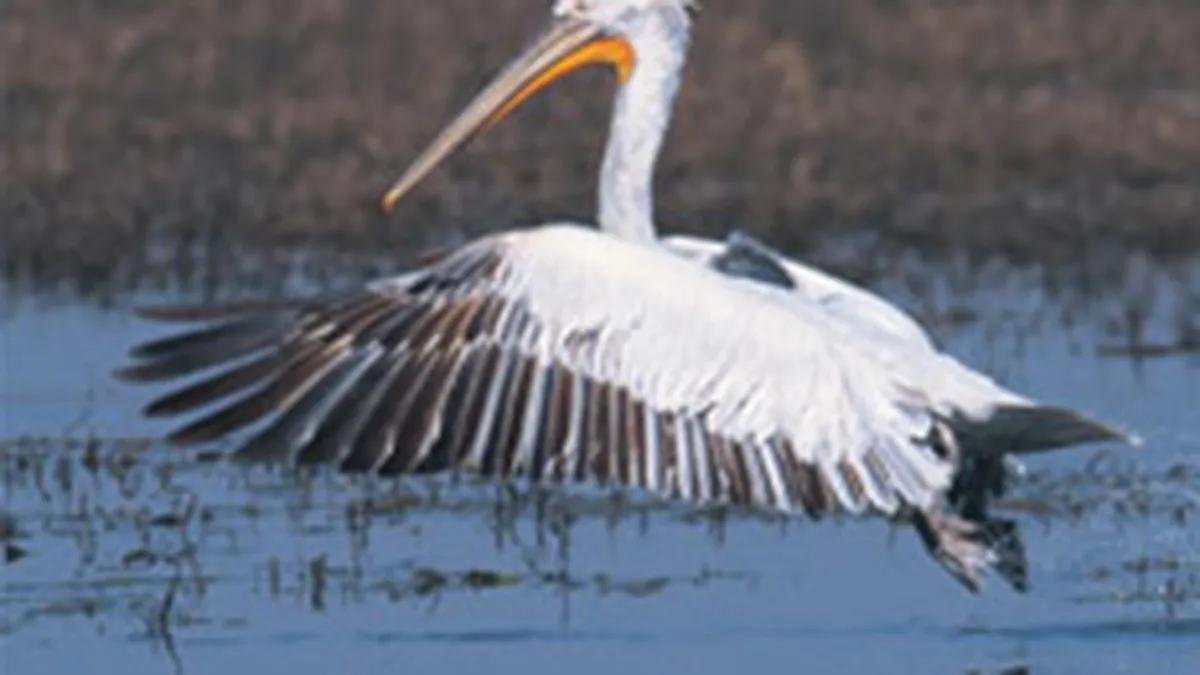 300.000 euro pentru publicitate turistica in cataloagele tur-operatorilor si liniilor aeriene