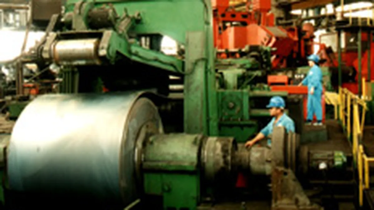 Zimtub a inregistrat pierderi de 330.000 euro in S1