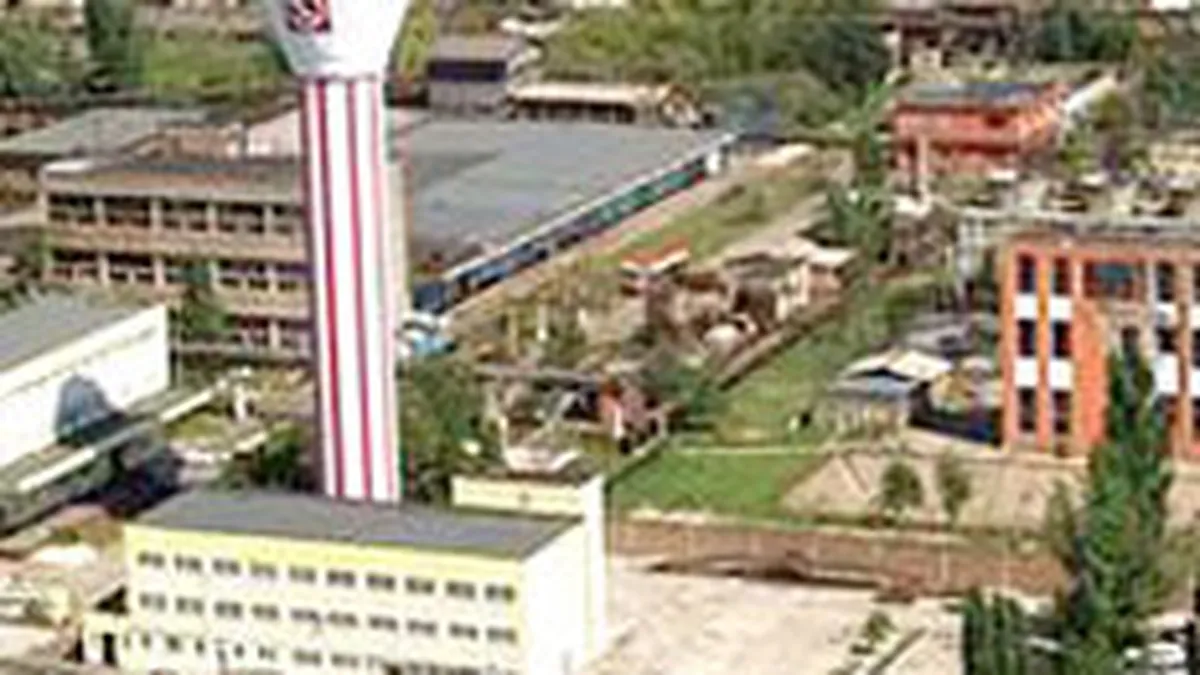 Sinteza Oradea: Profit net a scazut de 15 ori in S1, la 9.000 euro