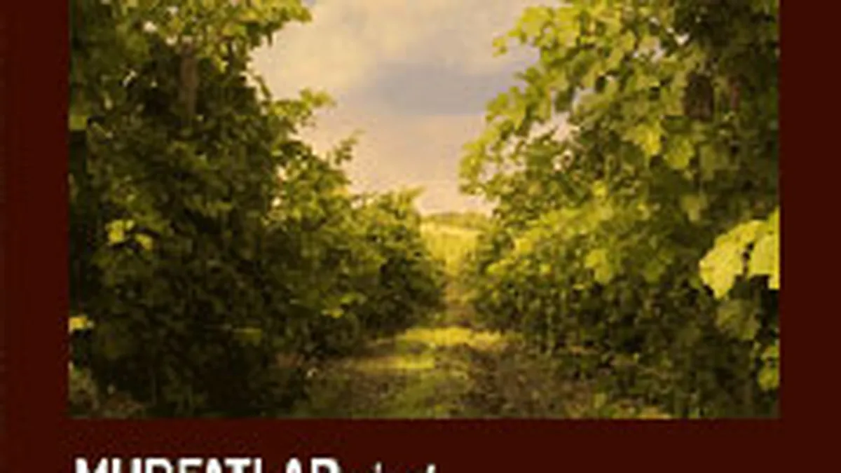 Afacerile Murfatlar au crescut cu 31% in primele 7 luni, la 20 mil. euro