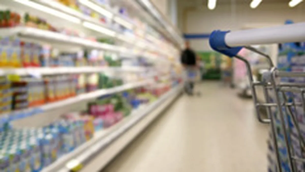 La Fourmi si-a mentinut pierderea de 2,23 milioane euro si in 2007