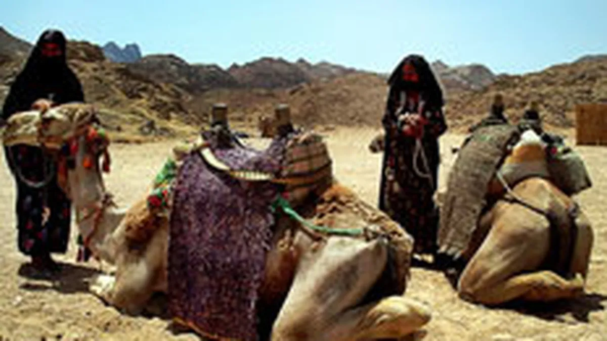 FlyNova si-a diminuat cu circa 50% estimarile de vanzari pe primul an de activitate