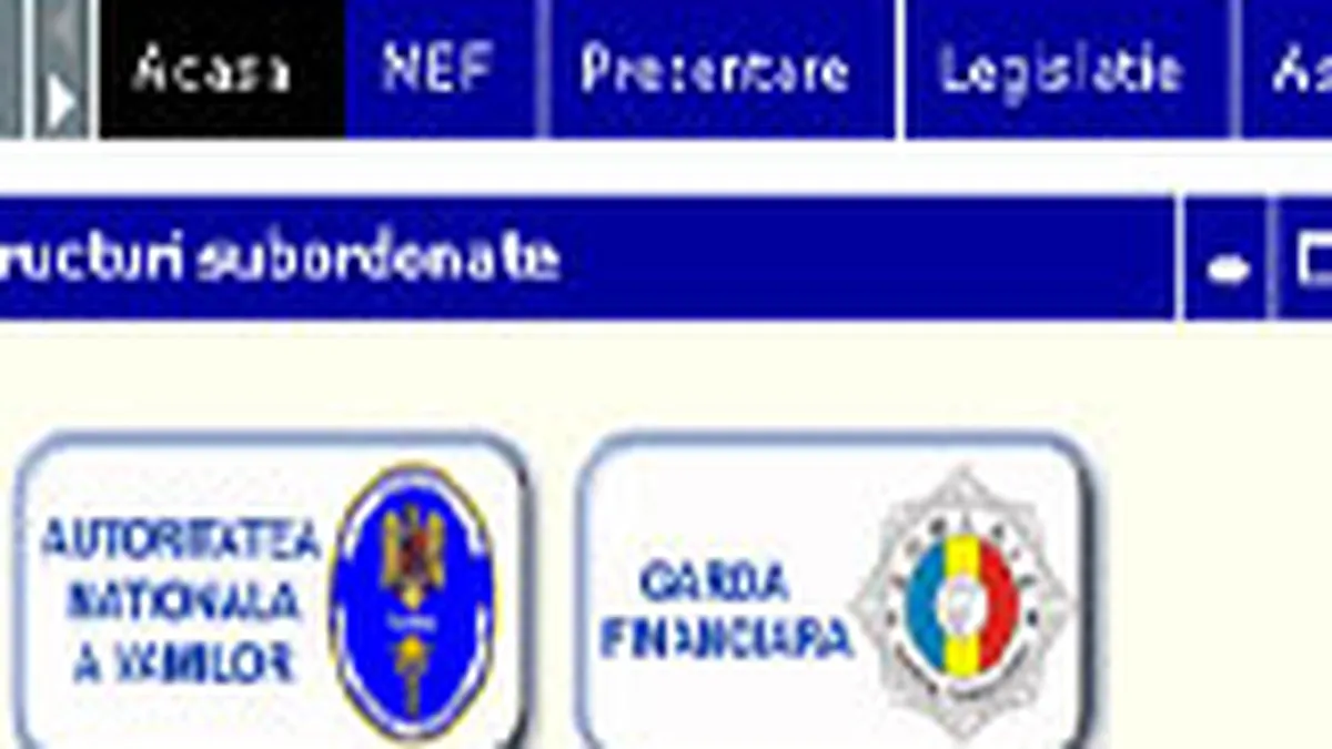 ANAF vrea sa investeasca 40 mil. euro in modernizarea sistemului IT