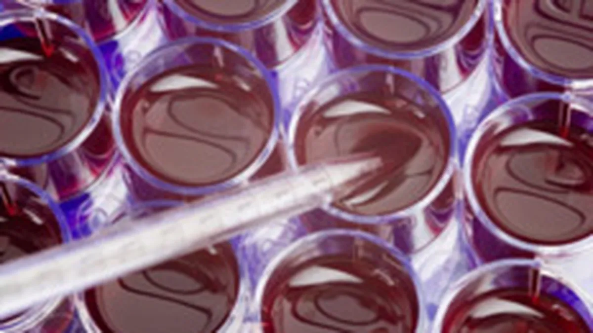 Stem-Health Unirea, prima societate infiintata exclusiv online in Romania