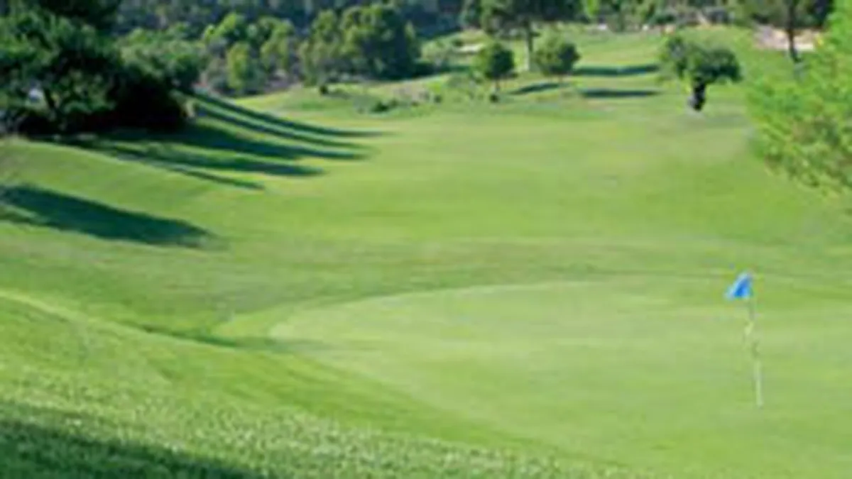 Proiect rezidential de cateva zeci de milioane de euro, intr-o comuna aradeana