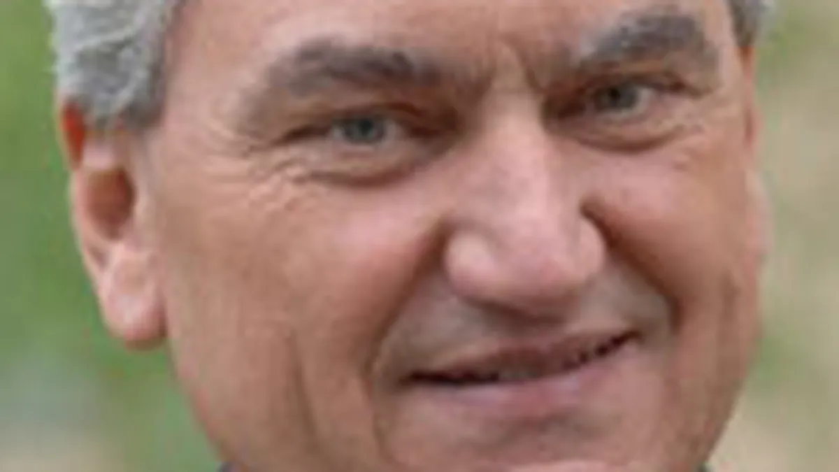 Negritoiu, ING: Cresterea nivelului de garantii pentru depozite nu e necesara